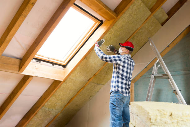 Best Attic Insulation Installation in USA